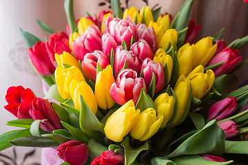 Image showing red and yellow tulips 