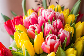 Image showing red and yellow tulips 