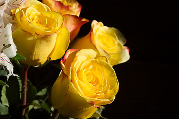 Image showing unwrapped yellow rose on the black background