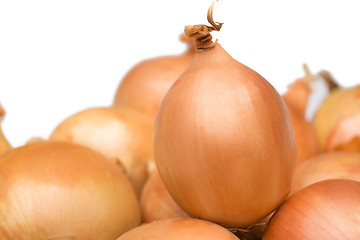 Image showing Ripe onion on a white background