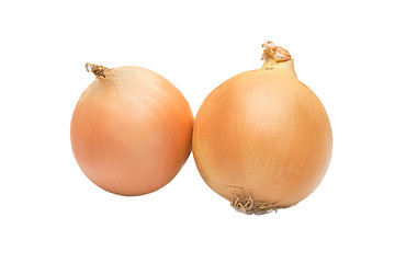 Image showing Ripe onion on a white background