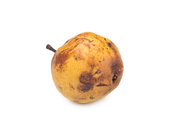 Image showing rotten snow pear on white background