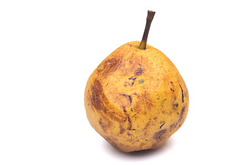 Image showing rotten snow pear on white background