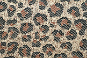 Image showing Leopard fabric