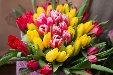 Image showing red and yellow tulips 