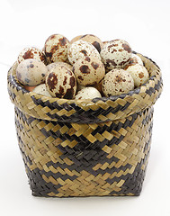 Image showing The quail's eggs in basket