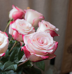 Image showing Roses in vintage style