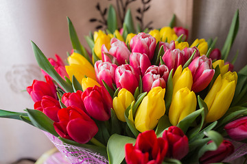 Image showing red and yellow tulips 