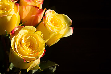 Image showing unwrapped yellow rose on the black background