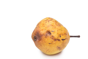 Image showing rotten snow pear on white background