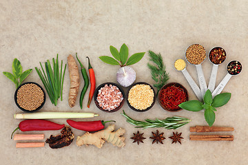 Image showing Spice and Herb Abstract