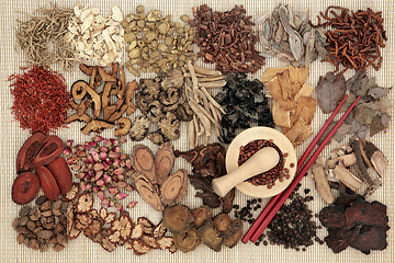 Image showing Traditional Chinese Apothecary Herbs