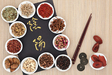 Image showing Yin and Yang Chinese Herb Selection