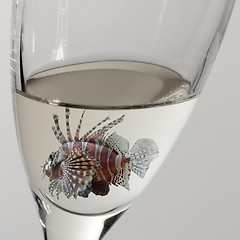 Image showing lionfish and drinking glass