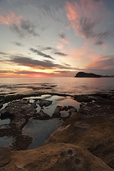 Image showing Views to Lion Island from Green Point, Pearl Beach