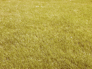 Image showing Retro looking Grass meadow