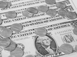 Image showing Black and white Dollar coins and notes