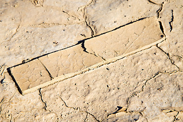 Image showing brown dry sand in sahara wood