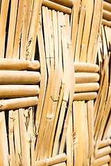 Image showing texture bamboo in morocco africa brown  blur