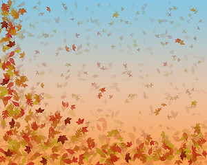 Image showing autumn leaves