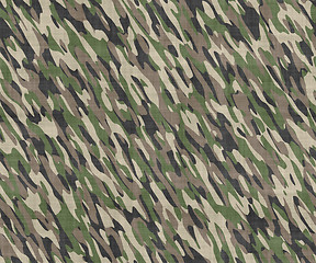 Image showing camouflage cloth