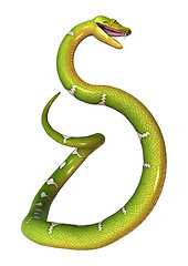 Image showing Green Tree Python on White