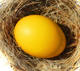 Image showing Egg nest