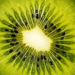 Image showing Kiwifruit or Chinese gooseberry (detail)