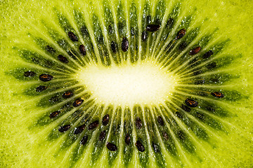 Image showing Kiwifruit or Chinese gooseberry (detail)