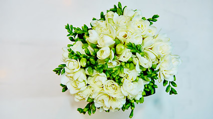 Image showing white flowers of lilac