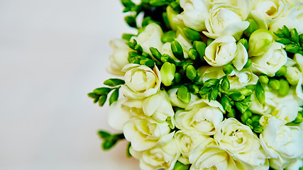 Image showing white flowers of lilac