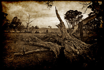 Image showing grunge fallen tree