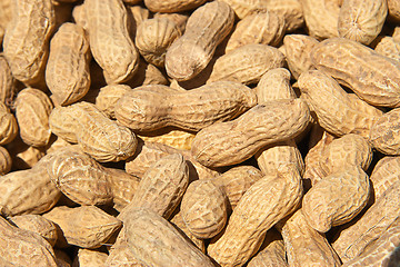 Image showing peanuts in shells