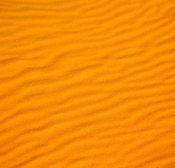 Image showing africa the brown sand dune in   sahara morocco desert line