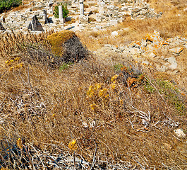 Image showing sea in delos greece the historycal acropolis and old ruin site