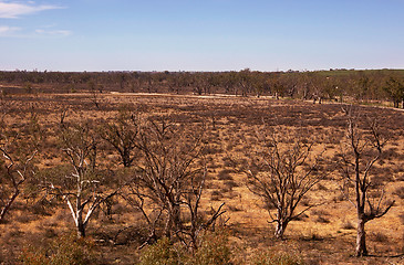 Image showing hard dry land