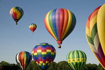 Image showing Hot-air balloons ascending or launching at a ballooning festival