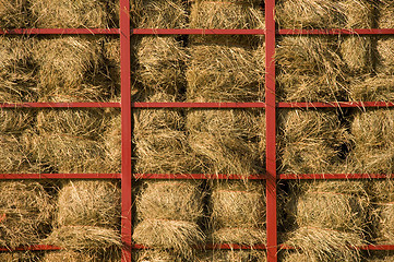 Image showing Hay bales piled within a cart