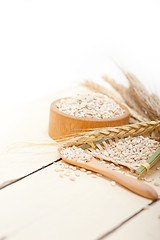 Image showing organic wheat grains 