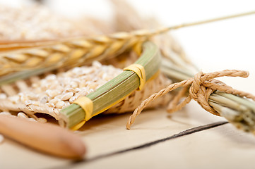 Image showing organic wheat grains 