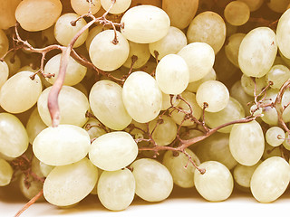 Image showing Retro looking Grape picture