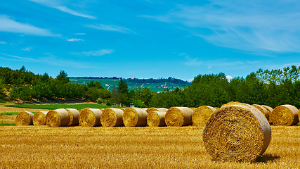 Image showing big roll harvested straw on the mown field 