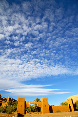 Image showing season  africa in morocco  