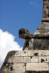 Image showing  snake in wall  mexico
