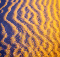 Image showing africa the brown sand dune in   sahara morocco desert line