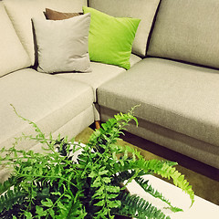Image showing Corner sofa and fern plant decoration
