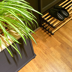 Image showing Entrance hall with plant and slippers on shoe rack