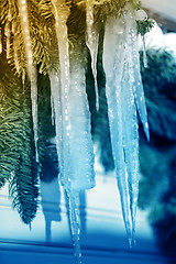 Image showing  icicles from  ice