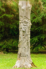 Image showing Carved Trunk