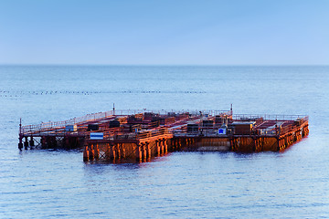 Image showing Mussel Farm